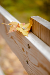 photo of engagement ring on a leaf